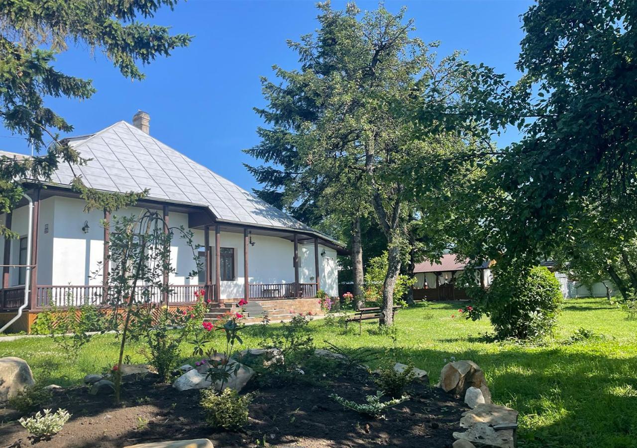 Вілла Casa Humulesti, Fii Vecinul Lui Ion Creanga Тирґу-Нямц Екстер'єр фото