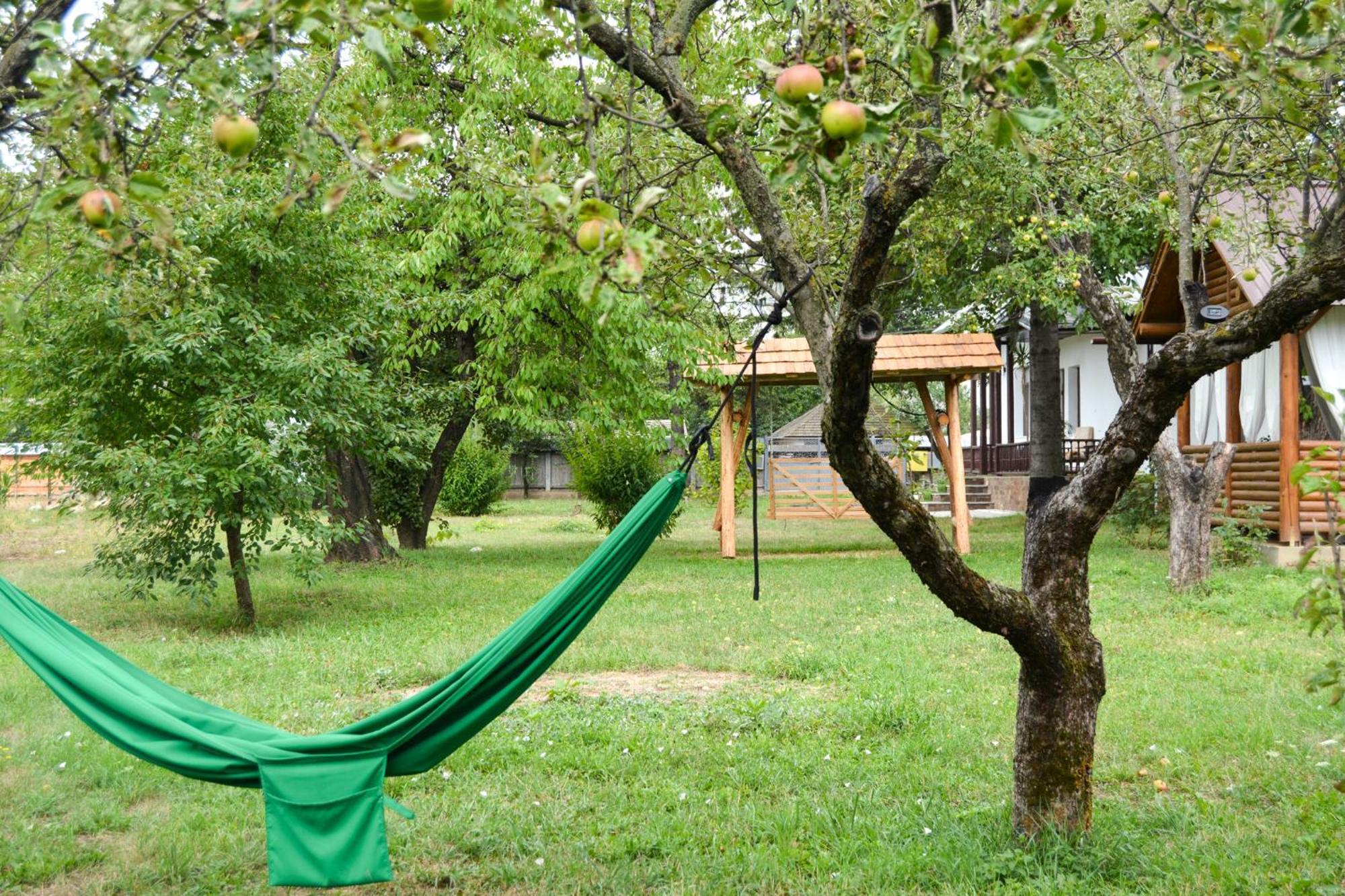 Вілла Casa Humulesti, Fii Vecinul Lui Ion Creanga Тирґу-Нямц Екстер'єр фото